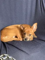 processed/b95f69e6-a922-4800-bc31-ba73eae5d6f7/facility/525ff2d9-9910-44bd-9ece-e3de53c74f90