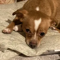 processed/b95f69e6-a922-4800-bc31-ba73eae5d6f7/facility/75ea7994-e880-4fa6-9288-8c841641733d