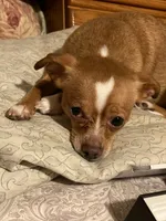 processed/b95f69e6-a922-4800-bc31-ba73eae5d6f7/facility/75ea7994-e880-4fa6-9288-8c841641733d