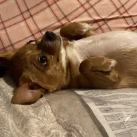 processed/b95f69e6-a922-4800-bc31-ba73eae5d6f7/facility/77c5fc62-a85c-4968-89ea-cd70933a5140