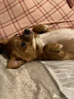 processed/b95f69e6-a922-4800-bc31-ba73eae5d6f7/facility/77c5fc62-a85c-4968-89ea-cd70933a5140