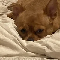 processed/b95f69e6-a922-4800-bc31-ba73eae5d6f7/facility/9efb8a5f-e974-494b-a235-7973507a29cc