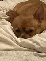 processed/b95f69e6-a922-4800-bc31-ba73eae5d6f7/facility/9efb8a5f-e974-494b-a235-7973507a29cc