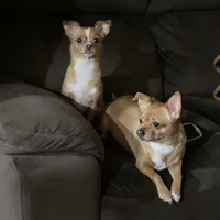 processed/b95f69e6-a922-4800-bc31-ba73eae5d6f7/facility/d175bd28-ea75-46fa-8c6f-77cc25f938e2