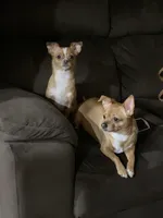 processed/b95f69e6-a922-4800-bc31-ba73eae5d6f7/facility/d175bd28-ea75-46fa-8c6f-77cc25f938e2