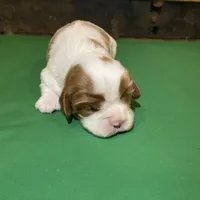 processed/b969c34b-cc8c-47e9-a31c-b21c0dd02426/facility/0093a22b-3cd6-4ab4-a2bd-a966e279c83c