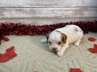 processed/b969c34b-cc8c-47e9-a31c-b21c0dd02426/listing/0e73553c-0847-4c02-b8a2-506b8bfcd79a/e205ce2c-386b-4cfd-afb7-a297923c5e42