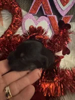 processed/b96e48b4-4ac7-4c70-bc09-e9c2c2b17e80/listing/12ed2a95-eb8e-4883-9c2c-72f038ef65a4/1dc1d6ed-9cac-43f8-b78e-2d3491f0ceae