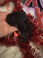 processed/b96e48b4-4ac7-4c70-bc09-e9c2c2b17e80/listing/12ed2a95-eb8e-4883-9c2c-72f038ef65a4/6b7c8ba4-8880-4b4a-a46f-f117c13e9a5d