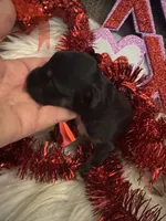 processed/b96e48b4-4ac7-4c70-bc09-e9c2c2b17e80/listing/12ed2a95-eb8e-4883-9c2c-72f038ef65a4/6b8c313c-ec49-4ff0-a50c-d41e68de6aed