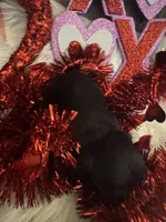 processed/b96e48b4-4ac7-4c70-bc09-e9c2c2b17e80/listing/12ed2a95-eb8e-4883-9c2c-72f038ef65a4/86289fc2-7bcf-4cbe-bfc6-5e0c28ca9b2e