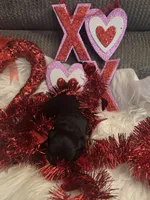 processed/b96e48b4-4ac7-4c70-bc09-e9c2c2b17e80/listing/12ed2a95-eb8e-4883-9c2c-72f038ef65a4/91d7bce8-ed21-4a98-b235-318046e383f6