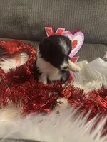 processed/b96e48b4-4ac7-4c70-bc09-e9c2c2b17e80/listing/2a564f95-ba58-499b-ba6e-ebc8d5645c6a/2141a50d-5376-45cc-8138-29c7a278a934