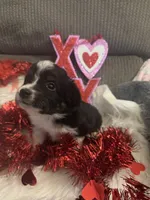 processed/b96e48b4-4ac7-4c70-bc09-e9c2c2b17e80/listing/2a564f95-ba58-499b-ba6e-ebc8d5645c6a/42283e94-d7fb-4a6c-bbd9-d774cf8641e2