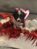 processed/b96e48b4-4ac7-4c70-bc09-e9c2c2b17e80/listing/2a564f95-ba58-499b-ba6e-ebc8d5645c6a/9d7c1553-09f0-4a91-a837-909db1581241