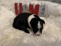 processed/b96e48b4-4ac7-4c70-bc09-e9c2c2b17e80/listing/2a564f95-ba58-499b-ba6e-ebc8d5645c6a/c24b68b3-99c6-497a-b68f-4c328c18f91d