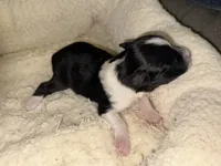 processed/b96e48b4-4ac7-4c70-bc09-e9c2c2b17e80/listing/2a564f95-ba58-499b-ba6e-ebc8d5645c6a/df222718-5b37-4063-94e9-84c81c45305a