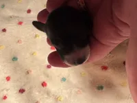 processed/b96e48b4-4ac7-4c70-bc09-e9c2c2b17e80/listing/3dd269cb-f4cf-4f1f-a3e8-8060627630fa/dfc415f9-b711-4adb-bab6-d75361465ac8