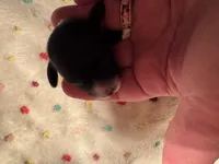 processed/b96e48b4-4ac7-4c70-bc09-e9c2c2b17e80/listing/a91335ef-3c5c-42a1-a9d2-1395866710ff/3af02b4a-27b8-4f72-8e21-accf7c1dbfc5