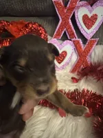 processed/b96e48b4-4ac7-4c70-bc09-e9c2c2b17e80/listing/b73ba5d3-67e4-4856-839d-93a009c98bcb/2ad38f65-c63b-4e9a-b1fe-e8da35f15d4d