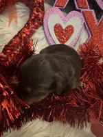 processed/b96e48b4-4ac7-4c70-bc09-e9c2c2b17e80/listing/b73ba5d3-67e4-4856-839d-93a009c98bcb/4e9edf27-15ac-4db8-b389-ec20fb7c560c