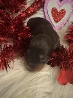 processed/b96e48b4-4ac7-4c70-bc09-e9c2c2b17e80/listing/b73ba5d3-67e4-4856-839d-93a009c98bcb/6c12a414-4c50-4de5-8e64-ac057db38e31