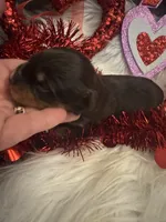 processed/b96e48b4-4ac7-4c70-bc09-e9c2c2b17e80/listing/b73ba5d3-67e4-4856-839d-93a009c98bcb/e6f45644-2c77-4d5e-b0aa-731bc29cc362