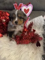 processed/b96e48b4-4ac7-4c70-bc09-e9c2c2b17e80/listing/e9c27e5a-5ae9-48c6-8dc5-fef7550064c1/68c2f9fc-6890-4736-ae96-7146711fabf3