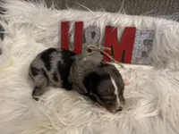 processed/b96e48b4-4ac7-4c70-bc09-e9c2c2b17e80/listing/e9c27e5a-5ae9-48c6-8dc5-fef7550064c1/6b1da9a4-1668-488b-93aa-1f902043bdab