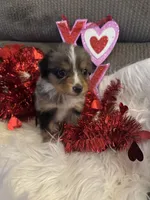 processed/b96e48b4-4ac7-4c70-bc09-e9c2c2b17e80/listing/e9c27e5a-5ae9-48c6-8dc5-fef7550064c1/774f02f6-d71d-4b32-a712-575cac33c5da