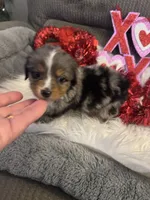 processed/b96e48b4-4ac7-4c70-bc09-e9c2c2b17e80/listing/e9c27e5a-5ae9-48c6-8dc5-fef7550064c1/86abee97-b642-4e0f-b100-fcae492e221b