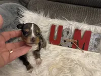 processed/b96e48b4-4ac7-4c70-bc09-e9c2c2b17e80/listing/e9c27e5a-5ae9-48c6-8dc5-fef7550064c1/8e674494-43f0-4b47-9bff-b5737aeb4a4d