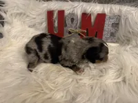 processed/b96e48b4-4ac7-4c70-bc09-e9c2c2b17e80/listing/e9c27e5a-5ae9-48c6-8dc5-fef7550064c1/bb14fe73-40f0-4895-8260-2f9ba098c76f