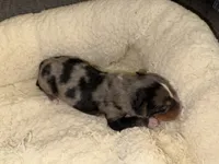 processed/b96e48b4-4ac7-4c70-bc09-e9c2c2b17e80/listing/e9c27e5a-5ae9-48c6-8dc5-fef7550064c1/da879682-8e5e-49bf-add7-f70cb5a766b9