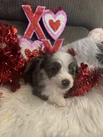 processed/b96e48b4-4ac7-4c70-bc09-e9c2c2b17e80/listing/ee377657-9ac6-4ff2-92ee-3e74f33d3cca/8c812911-9bc8-4f60-bbe7-f68e69a97907