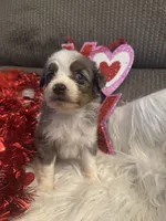 processed/b96e48b4-4ac7-4c70-bc09-e9c2c2b17e80/listing/ee377657-9ac6-4ff2-92ee-3e74f33d3cca/adb18998-82b2-42b9-8821-056b2b4695b8