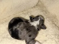 processed/b96e48b4-4ac7-4c70-bc09-e9c2c2b17e80/listing/ee377657-9ac6-4ff2-92ee-3e74f33d3cca/bb9cbb84-32d2-4974-bfb3-d6438f55240f