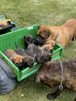 processed/b97e41b8-95fb-44be-bc3c-d0d74104e235/facility/14b7c7c4-1f68-4765-aed9-34c0448c731e