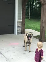 processed/b97e41b8-95fb-44be-bc3c-d0d74104e235/facility/4cb8b2b2-838b-4a31-a19d-a31bae549c8a