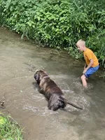 processed/b97e41b8-95fb-44be-bc3c-d0d74104e235/facility/70b15391-b595-4105-bfc7-4892d8760165