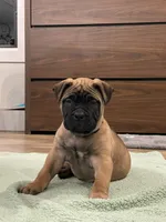 processed/b97e41b8-95fb-44be-bc3c-d0d74104e235/listing/1bff5a5f-0bf8-4ce4-93f8-d9cc92d3200a/9459ea8a-f0be-4088-a26e-91dfb096f21f