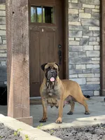 processed/b97e41b8-95fb-44be-bc3c-d0d74104e235/listing/1bff5a5f-0bf8-4ce4-93f8-d9cc92d3200a/b6592c10-3b00-4f2e-a480-37e965aaeacc