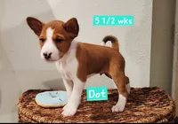 processed/b9832a2c-babe-464f-97a6-d25182734403/listing/2db996bc-4d08-4f4e-b12d-8110674c8d88/09e2839f-a6c4-43d2-aad9-2c1d45f85714