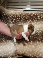 processed/b9832a2c-babe-464f-97a6-d25182734403/listing/2db996bc-4d08-4f4e-b12d-8110674c8d88/266c1657-e1e9-46ef-ab01-7fba80ae3d8e