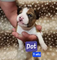 processed/b9832a2c-babe-464f-97a6-d25182734403/listing/2db996bc-4d08-4f4e-b12d-8110674c8d88/77c804b9-60b4-44fa-89a8-42577c11d350