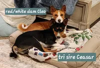 processed/b9832a2c-babe-464f-97a6-d25182734403/listing/2db996bc-4d08-4f4e-b12d-8110674c8d88/d127b244-55e0-4a3d-86da-5eddcf7efcf5