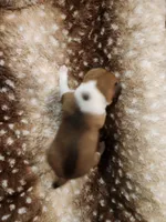 processed/b9832a2c-babe-464f-97a6-d25182734403/listing/2db996bc-4d08-4f4e-b12d-8110674c8d88/db715040-fe42-4bcd-a7bc-9ac1bb5b348e