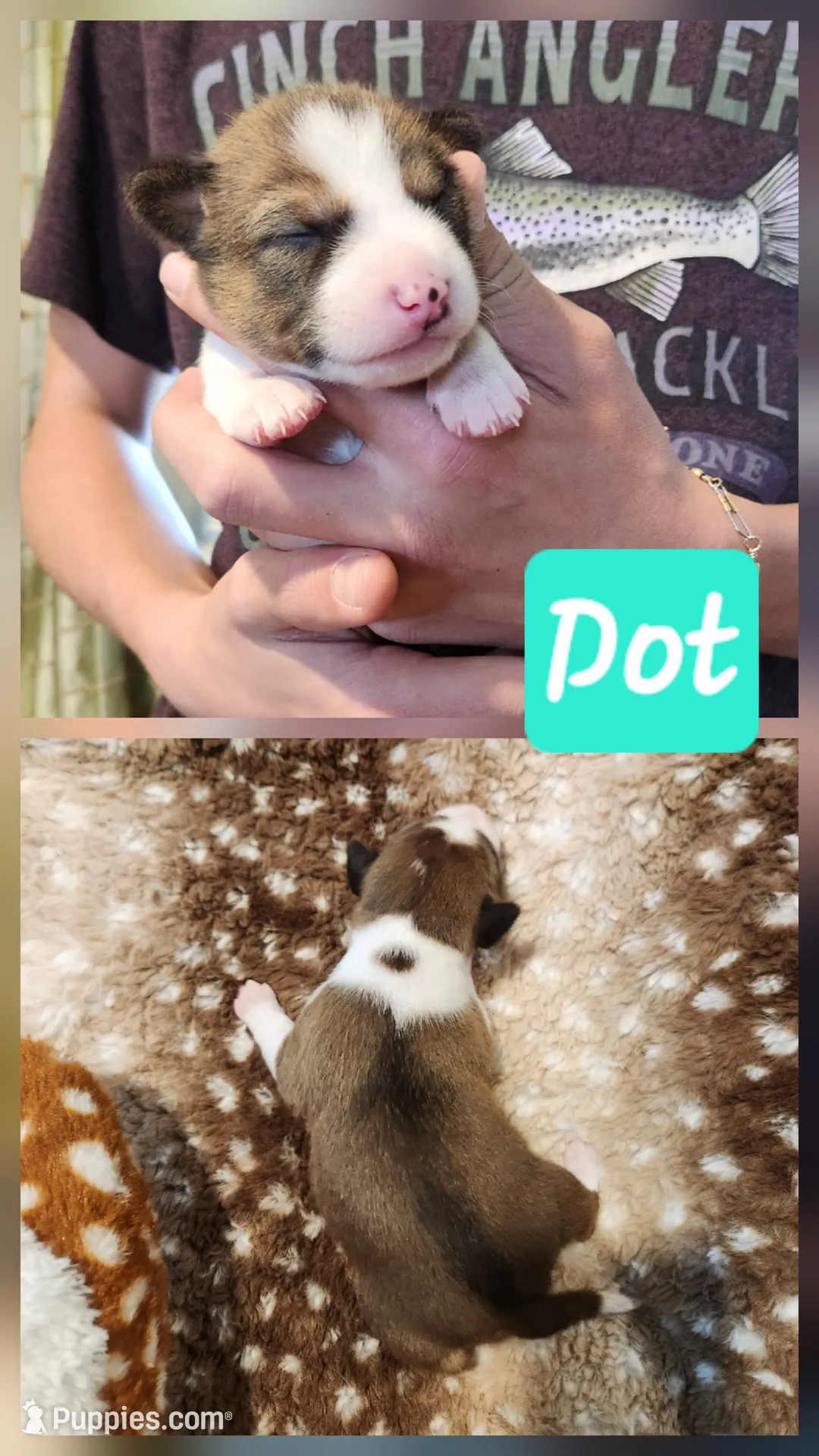 processed/b9832a2c-babe-464f-97a6-d25182734403/listing/2db996bc-4d08-4f4e-b12d-8110674c8d88/f6f55a1c-49d0-4b42-925c-58caebceace6