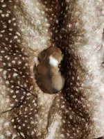 processed/b9832a2c-babe-464f-97a6-d25182734403/listing/3425eec8-6a21-47f1-862e-3fb0f52cecac/6ce7c4d0-0be1-4c99-b2d4-be59cc82657c