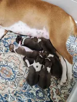 processed/b9832a2c-babe-464f-97a6-d25182734403/listing/3425eec8-6a21-47f1-862e-3fb0f52cecac/af448cb0-30a1-4cce-bbf6-fd9f91e3df41